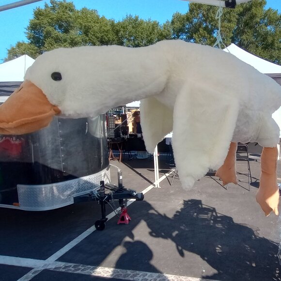 GOOSE! - Picture 4 of 5